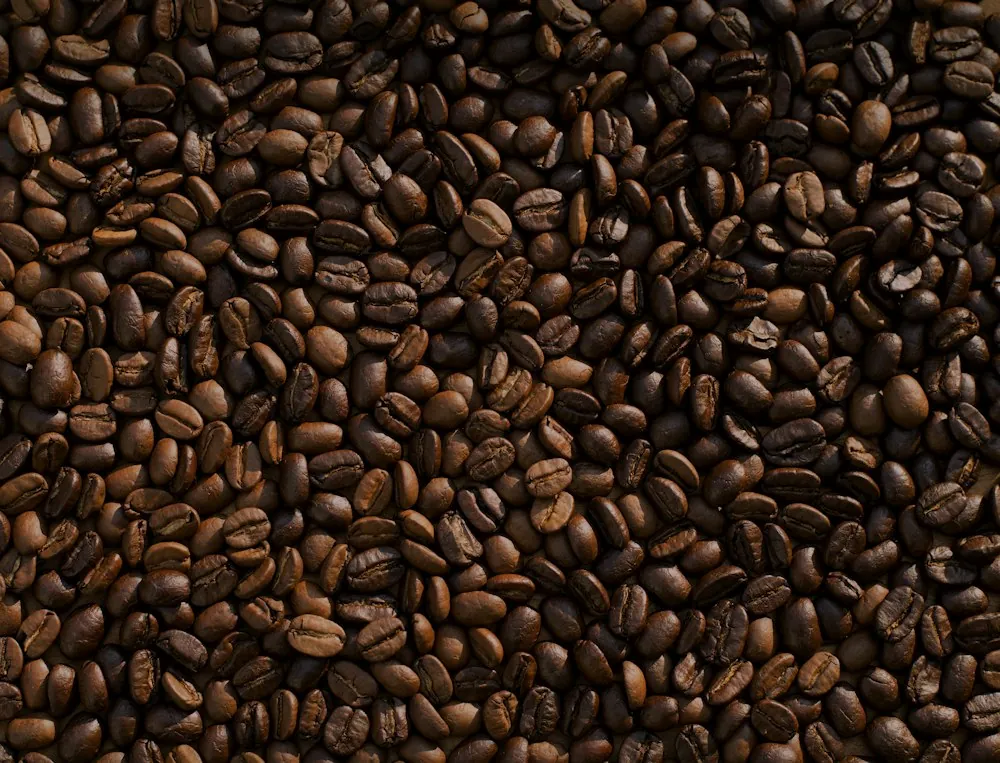 Ảnh minh họa quán cà phê — Cold brew