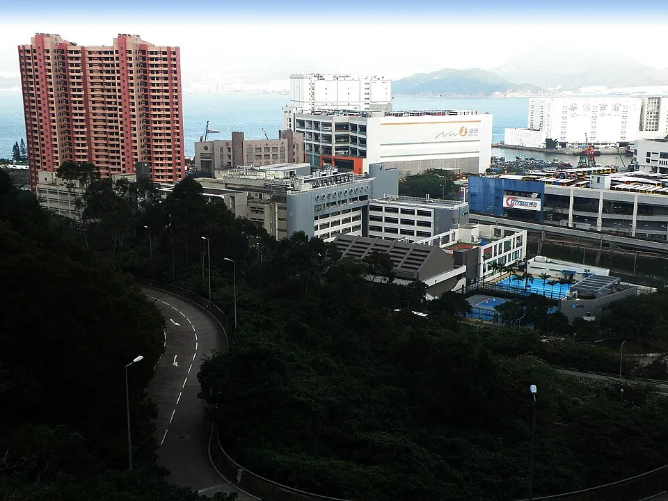 Hướng nghiệp