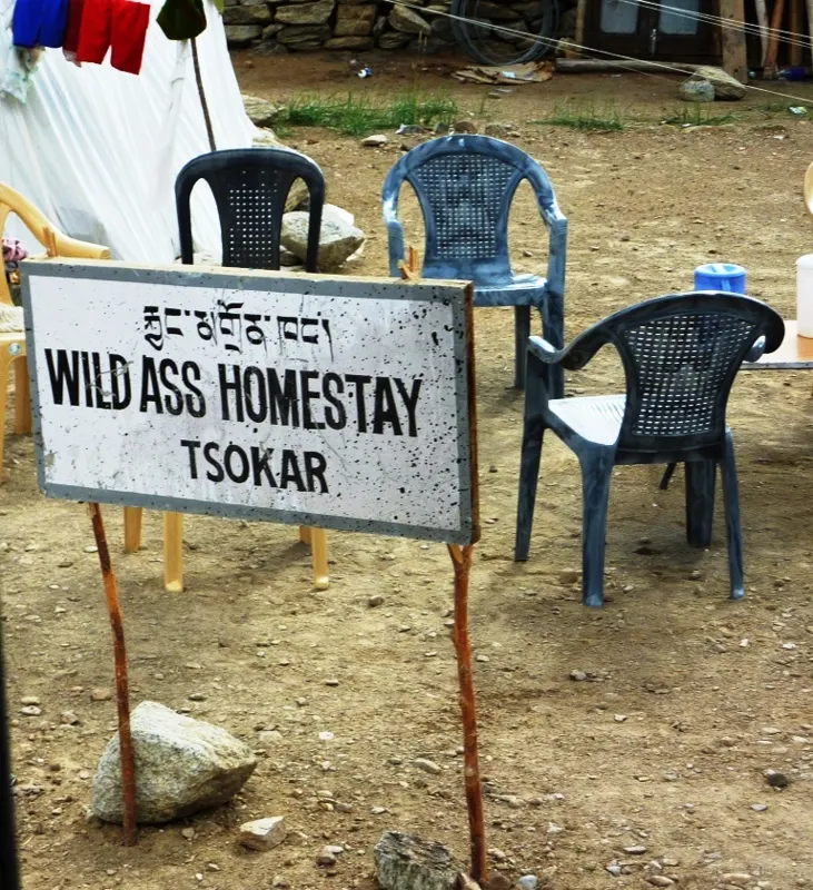 Phòng đôi