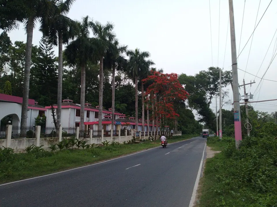 Đào tạo nghề