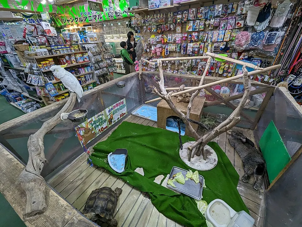 Phụ kiện