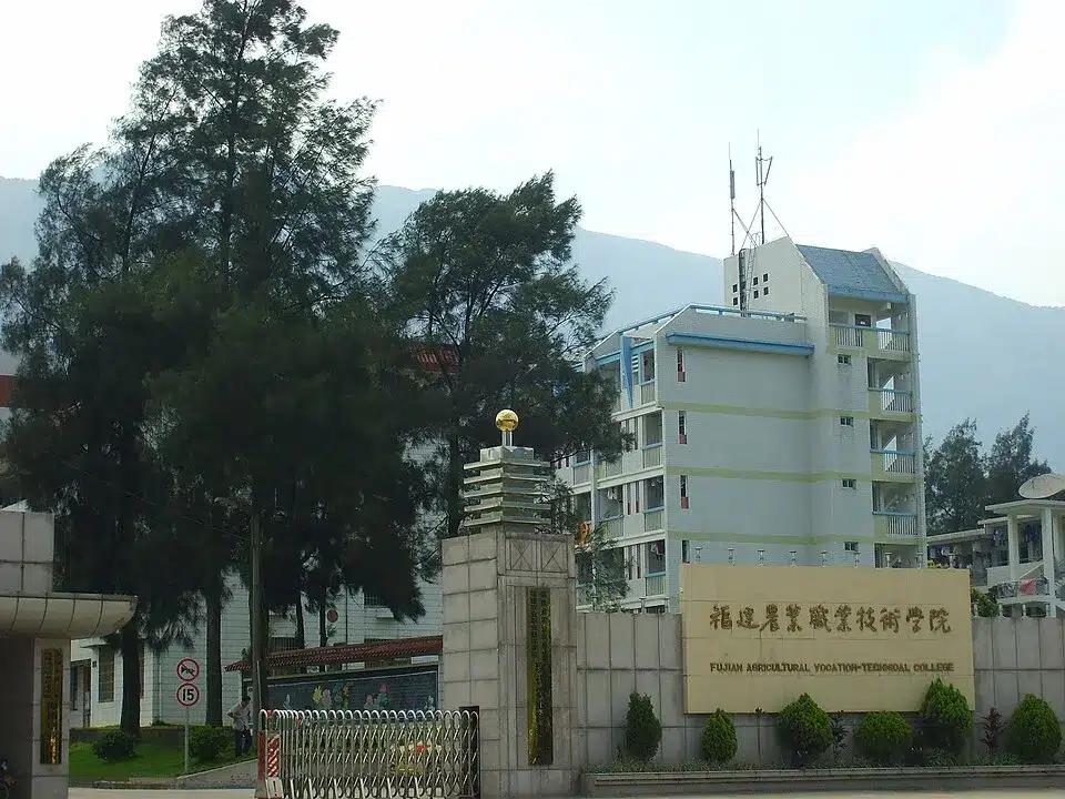 Chương trình