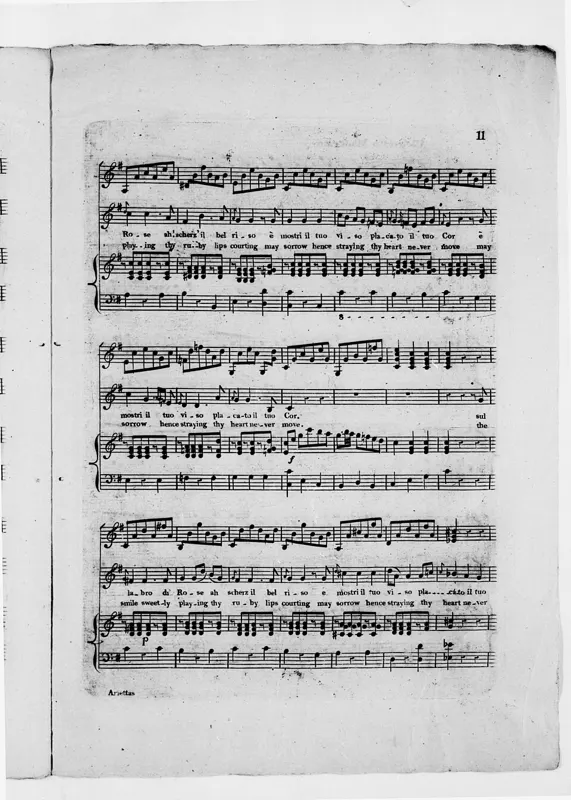 Violin