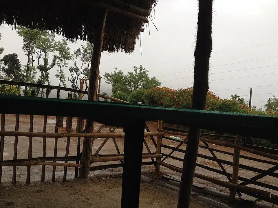 Phòng đôi
