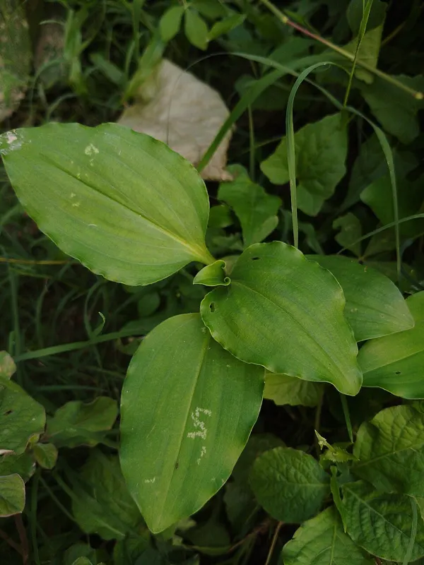 Hướng nghiệp