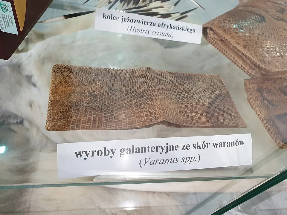 Ví da