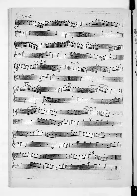 Violin